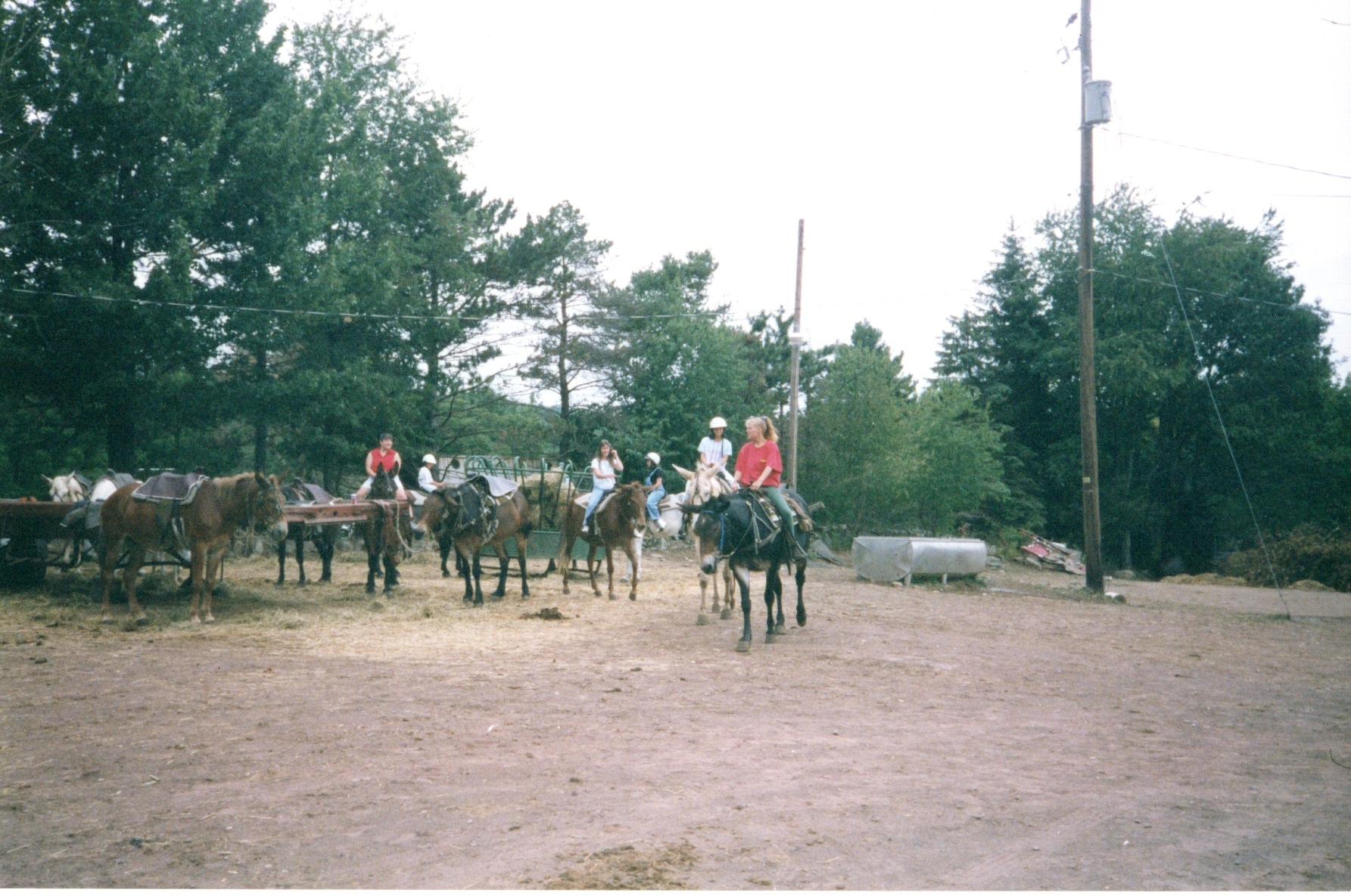 ./1997/08 - August/img05172020_217.jpg